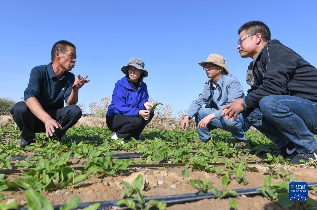百佳乐游戏下载